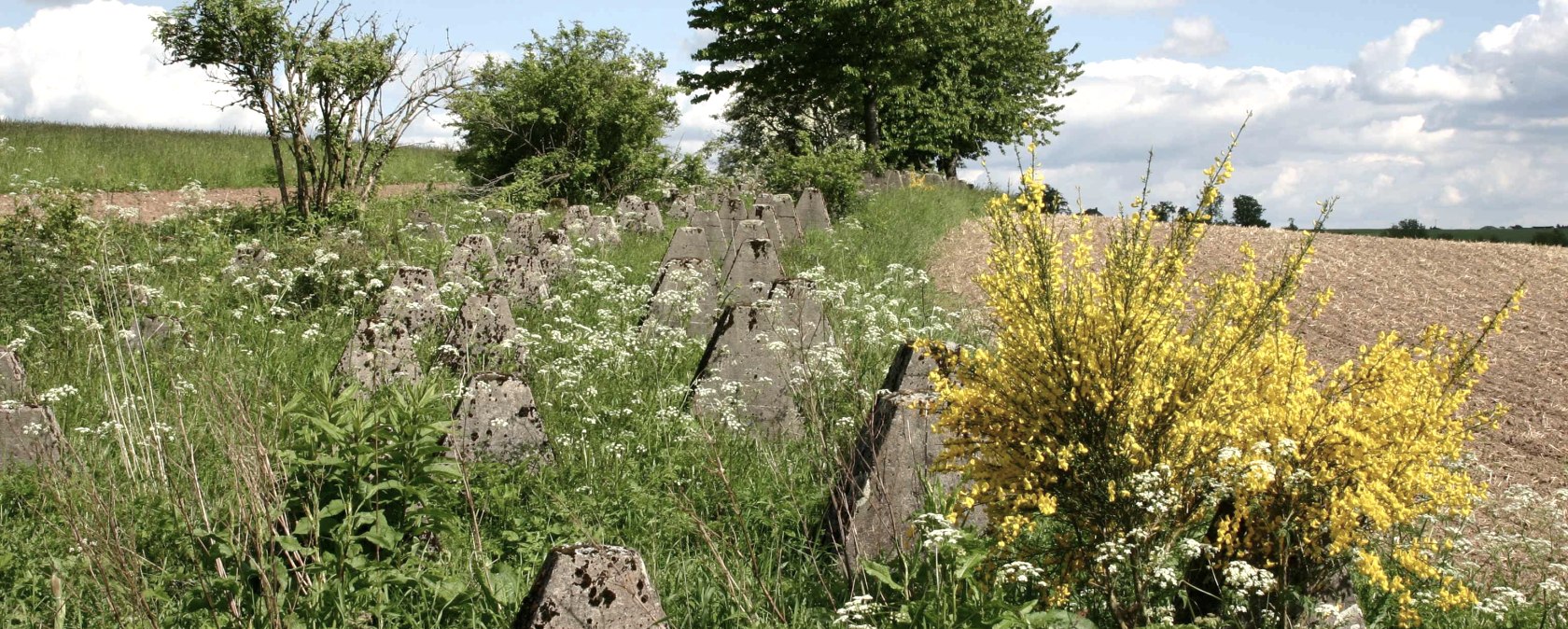 Siegfried line near Großkampenberg, © DLR Eifel Siegfried line near Großkampenberg, © DLR Eifel