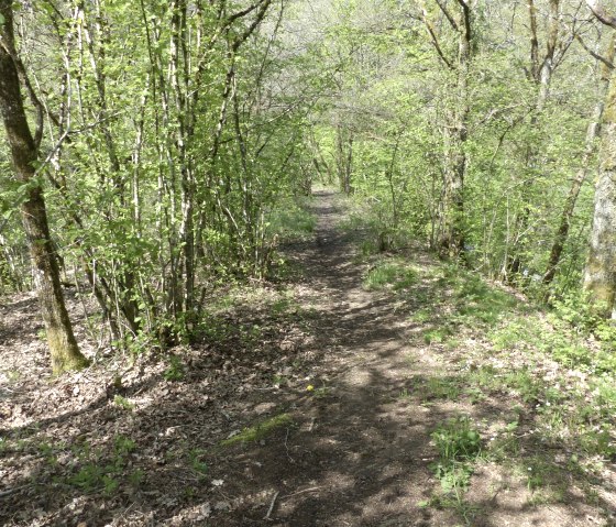 Pfad zum Dierbach, © Tourist-Information Islek Pfad zum Dierbach, © Tourist-Information Islek