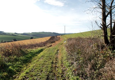 After the rain, © Volker Teuschler After the rain, © Volker Teuschler