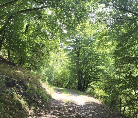 Ein schattiger Waldweg, gesäumt von üppigen grünen Bäumen, durch den Sonnenlicht fällt., © Tourist-Information Islek Ein schattiger Waldweg, gesäumt von üppigen grünen Bäumen, durch den Sonnenlicht fällt., © Tourist-Information Islek