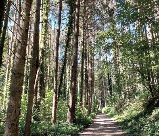 Hiking trails Hiking trails