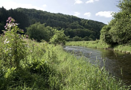 Prümtal, © Pierre Haas Prümtal, © Pierre Haas