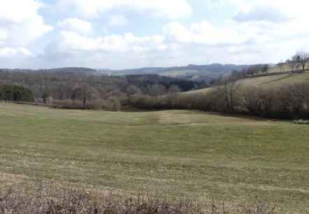 Fernblick bei Kinzenburg, Richtung Prümtal, © Tourist-Information Islek Fernblick bei Kinzenburg, Richtung Prümtal, © Tourist-Information Islek