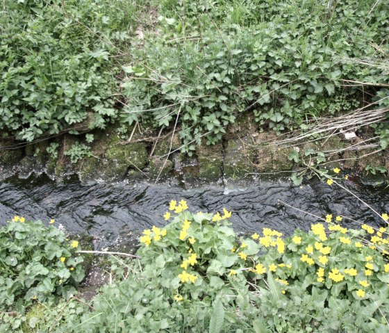 Ehlenzbach, © Harald Geimer Ehlenzbach, © Harald Geimer