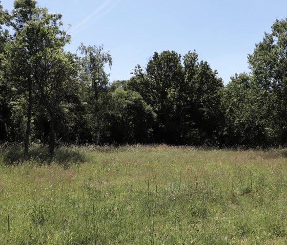 Irsental, © Tourist-Information Islek Irsental, © Tourist-Information Islek