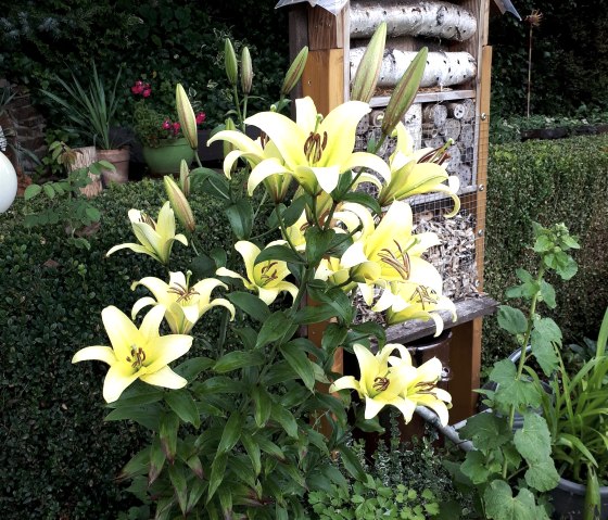 20210803_145454 20210803_145454