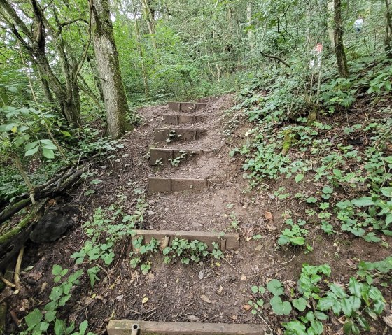 Treppenstufen im Wald, © Tourist-Information Islek Treppenstufen im Wald, © Tourist-Information Islek