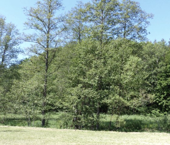 Bij het reservoir, © Tourist-Info Islek Bij het reservoir, © Tourist-Info Islek