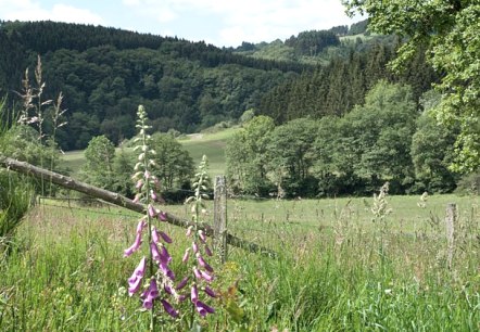 The Irsental The Irsental