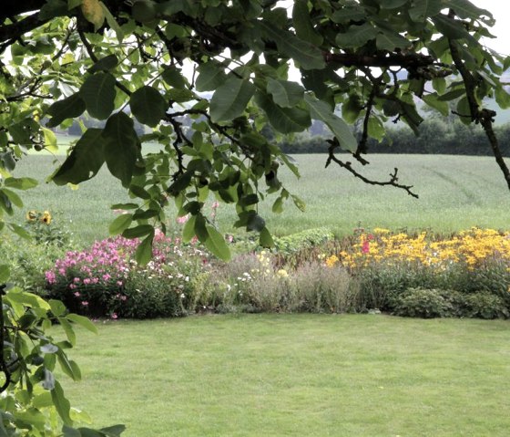 Blick aus der Morgensonne, © Alice Schares Blick aus der Morgensonne, © Alice Schares