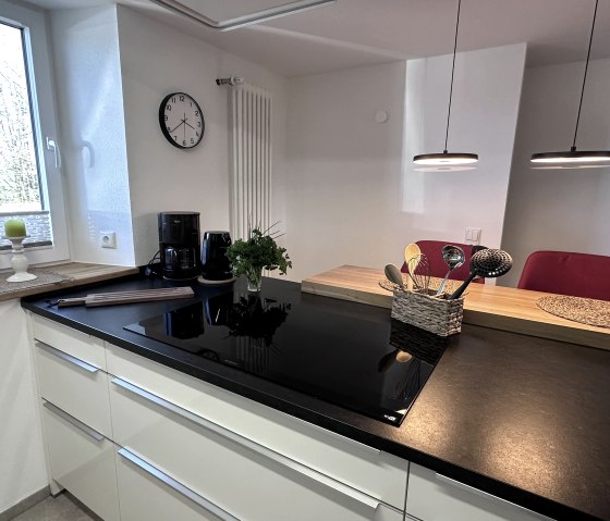 Großes Induktions-Kochfeld Großes Induktions-Kochfeld