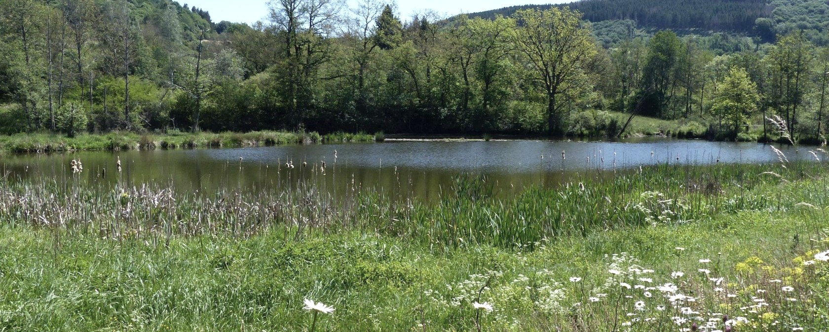 Stausee Irsental, © Tourist-Info Islek, Ingrid Wirtzfeld Stausee Irsental, © Tourist-Info Islek, Ingrid Wirtzfeld