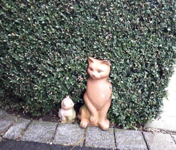 20210803_145600 20210803_145600