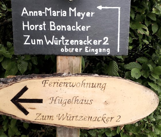 20210803_145027 20210803_145027