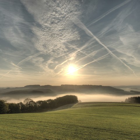 Prümtalweg, © Naturpark Südeifel, Pierre Haas Prümtalweg, © Naturpark Südeifel, Pierre Haas