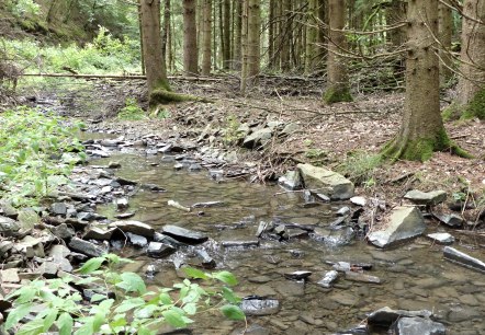 Dierbach, © Tourist.-Information Islek Dierbach, © Tourist.-Information Islek