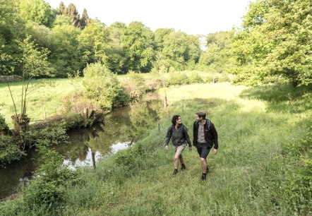 Wandern durch Wälder und Wiesen, © Eifel Tourismus GmbH, D. Ketz Wandern durch Wälder und Wiesen, © Eifel Tourismus GmbH, D. Ketz