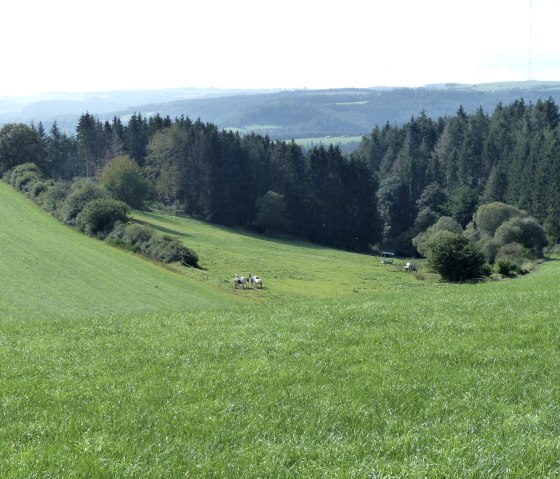 Weite Landschaft und Ausblick nach Luxemburg, © Tourist-Information Islek Weite Landschaft und Ausblick nach Luxemburg, © Tourist-Information Islek
