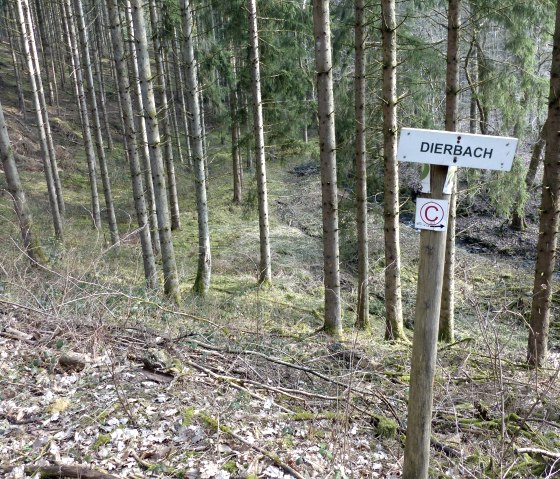 Forest path above the Dierbach stream, © Tourist-Information Islek Forest path above the Dierbach stream, © Tourist-Information Islek