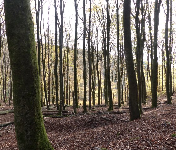 P1110548, © Tourist-Information Islek P1110548, © Tourist-Information Islek