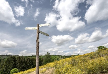 Wegweiser NaturWanderPark delux, © Eifel Tourismus GmbH, Dominik Ketz Wegweiser NaturWanderPark delux, © Eifel Tourismus GmbH, Dominik Ketz