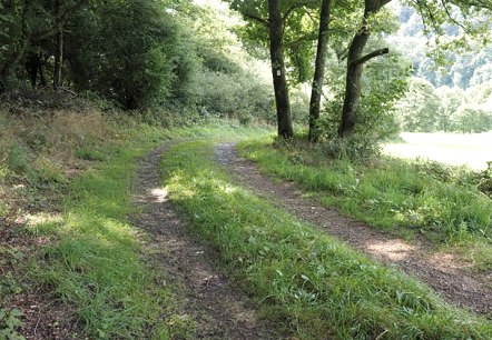 Hiking trail in the Our valley, © V. Teuschler Hiking trail in the Our valley, © V. Teuschler