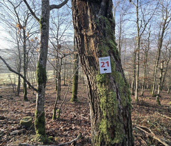 Markierung Wanderweg Nr. 21, © Tourist-Information Islek Markierung Wanderweg Nr. 21, © Tourist-Information Islek