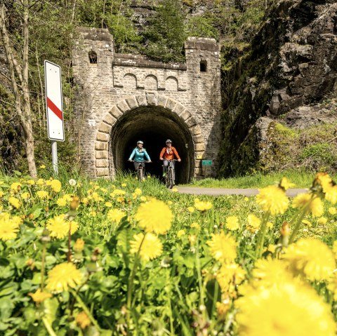Enz cycle path, old railroad tunnel near Neuerburg, © Eifel Tourismus GmbH, Dominik Ketz Enz cycle path, old railroad tunnel near Neuerburg, © Eifel Tourismus GmbH, Dominik Ketz