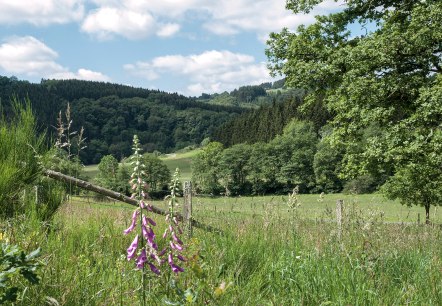 Wanderwege im Naturpark Südeifel, © CUBE Volker Teuschler Wanderwege im Naturpark Südeifel, © CUBE Volker Teuschler