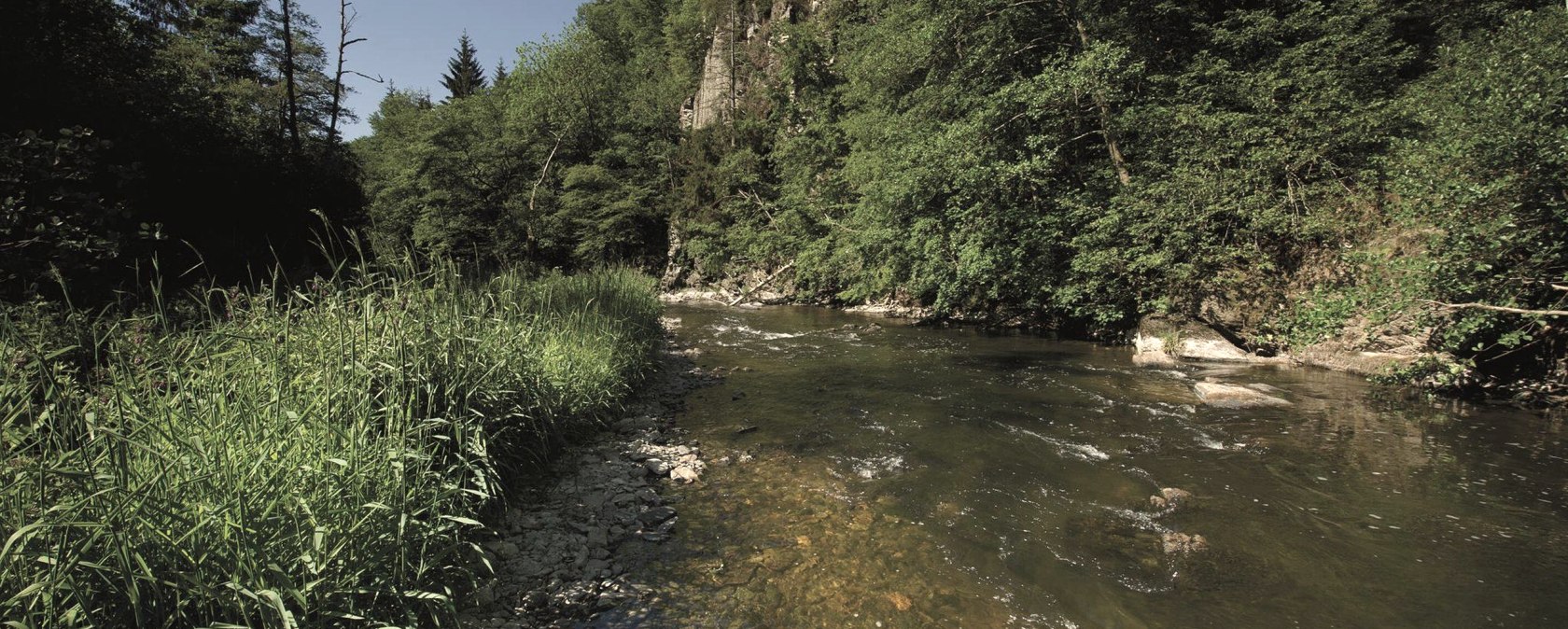 die Our im Sonnenschein, © ZV Naturpark Südeifel, Raymond Clement die Our im Sonnenschein, © ZV Naturpark Südeifel, Raymond Clement