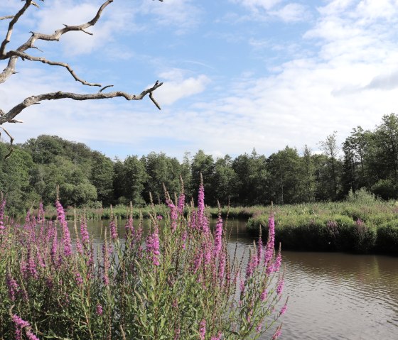 Stausee Irsental, © Tourist-Information Islek Stausee Irsental, © Tourist-Information Islek