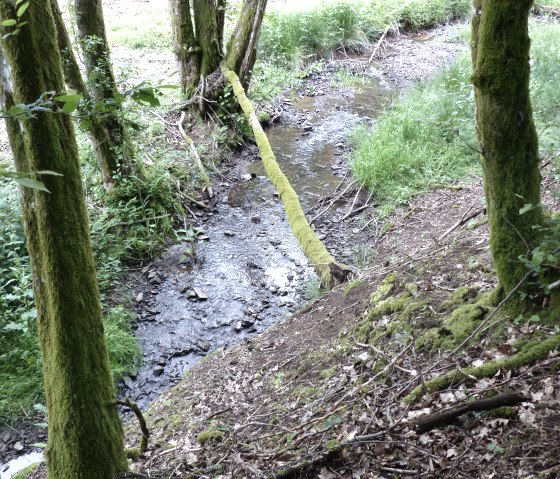 Dierbach, © Tourist-Information Islek Dierbach, © Tourist-Information Islek