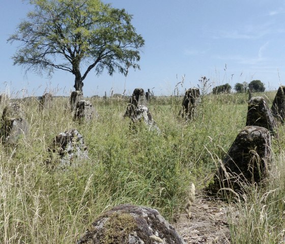 Westwall Wanderweg Ost, © Tourist-Information Islek Westwall Wanderweg Ost, © Tourist-Information Islek