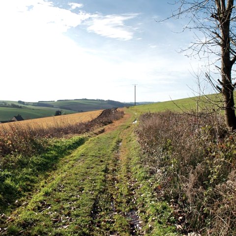 Na de regen, © Volker Teuschler Na de regen, © Volker Teuschler