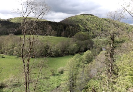 Landschaft Ourtal, © Tourist-Information Islek Landschaft Ourtal, © Tourist-Information Islek