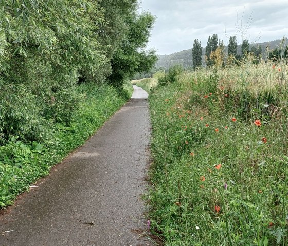 20210705_183734 20210705_183734