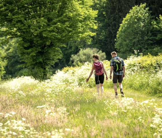 Nat'Our Route 1, Wandern durch blühende Wiesen, © Eifel Tourismus GmbH, Dominik Ketz Nat'Our Route 1, Wandern durch blühende Wiesen, © Eifel Tourismus GmbH, Dominik Ketz