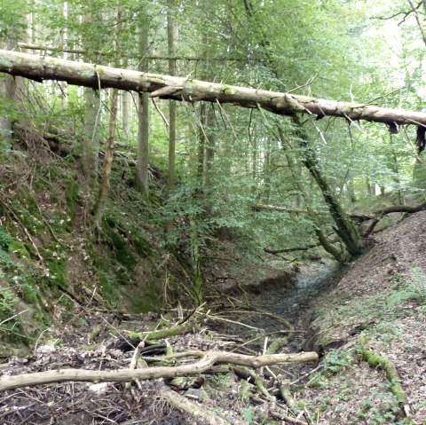 P1120313, © Tourist-Information Islek P1120313, © Tourist-Information Islek