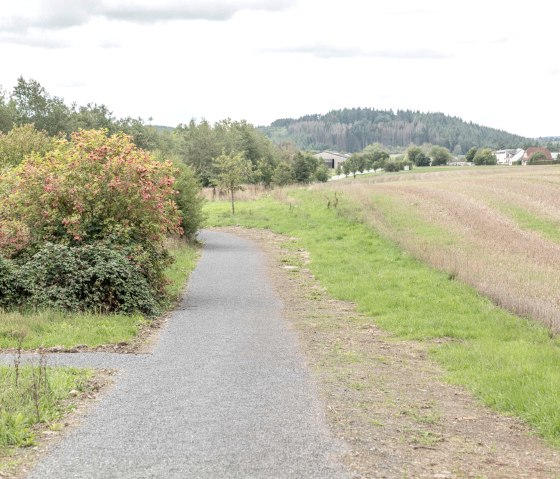 Daleiden-4, © Naturpark Südeifel/Thomas Urbany Daleiden-4, © Naturpark Südeifel/Thomas Urbany