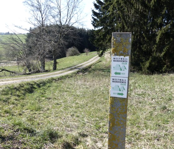 Westwall-Wanderweg Ost, © Tourist-Info Islek Westwall-Wanderweg Ost, © Tourist-Info Islek