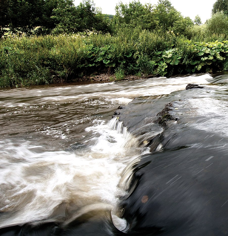 Our, © ZV Naturpark Südeifel, Raymond Clement Our, © ZV Naturpark Südeifel, Raymond Clement