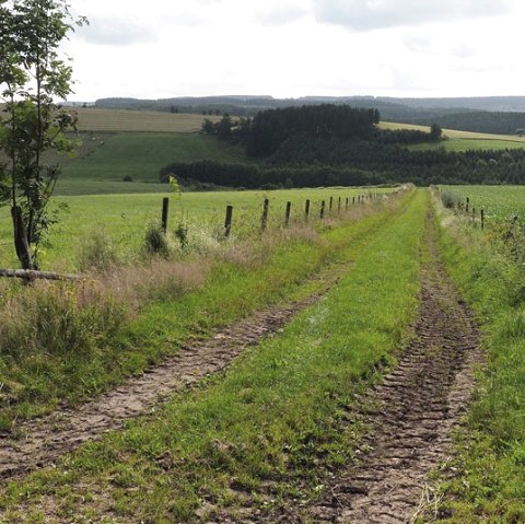 Eifelhöhen, © Volker Teuschler Eifelhöhen, © Volker Teuschler