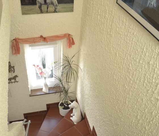 Treppenhaus Treppenhaus