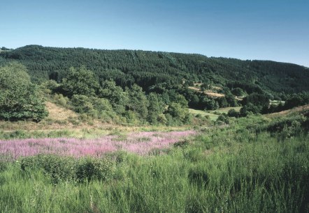 View of the Irsen Valley, © Eifel Tourismus GmbH, H.-J. Sittig View of the Irsen Valley, © Eifel Tourismus GmbH, H.-J. Sittig