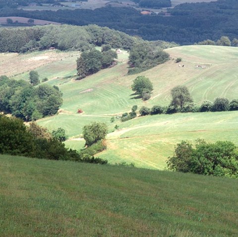 Eifel heights near Plütscheid, © V. Teuschler Eifel heights near Plütscheid, © V. Teuschler