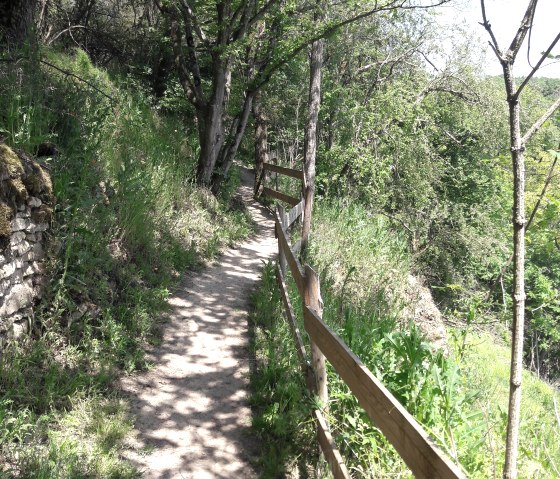 Natur erkunden Natur erkunden