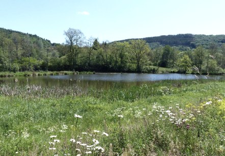 GPS-Tour, Stausee Irsental, © Tourist-Information Islek, Ingrid Wirtzfeld GPS-Tour, Stausee Irsental, © Tourist-Information Islek, Ingrid Wirtzfeld