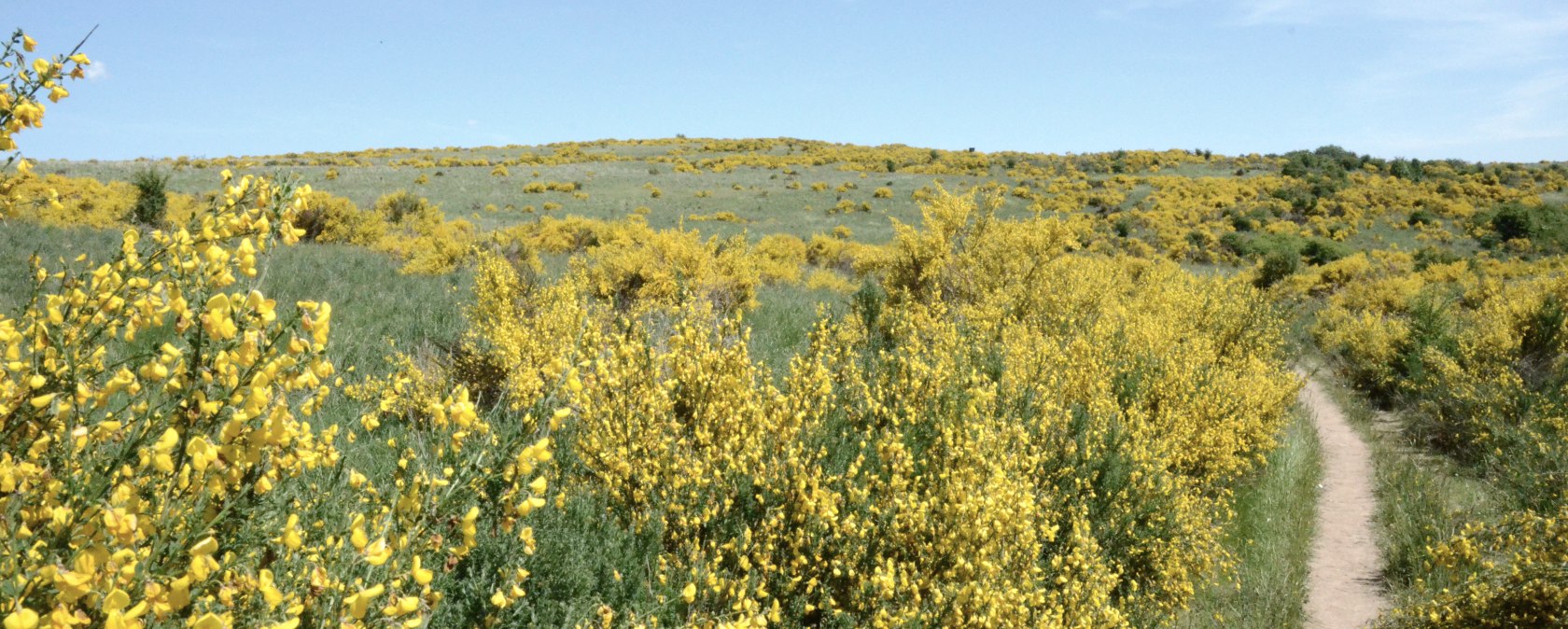 Dreiborner Hochfläche, © Gemeinde Simmerath Rursee-Touristik GmbH Dreiborner Hochfläche, © Gemeinde Simmerath Rursee-Touristik GmbH