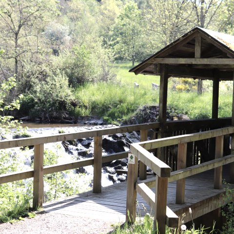 Komfortweg Irrhausen, © Tourist-Information Islek Komfortweg Irrhausen, © Tourist-Information Islek