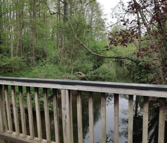 Überquerung der Rur, © Sophia Eckerle | Kreis Düren Überquerung der Rur, © Sophia Eckerle | Kreis Düren